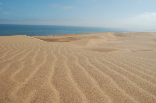 Namibia-ocean and dunes